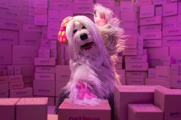 priscila voltou petlove