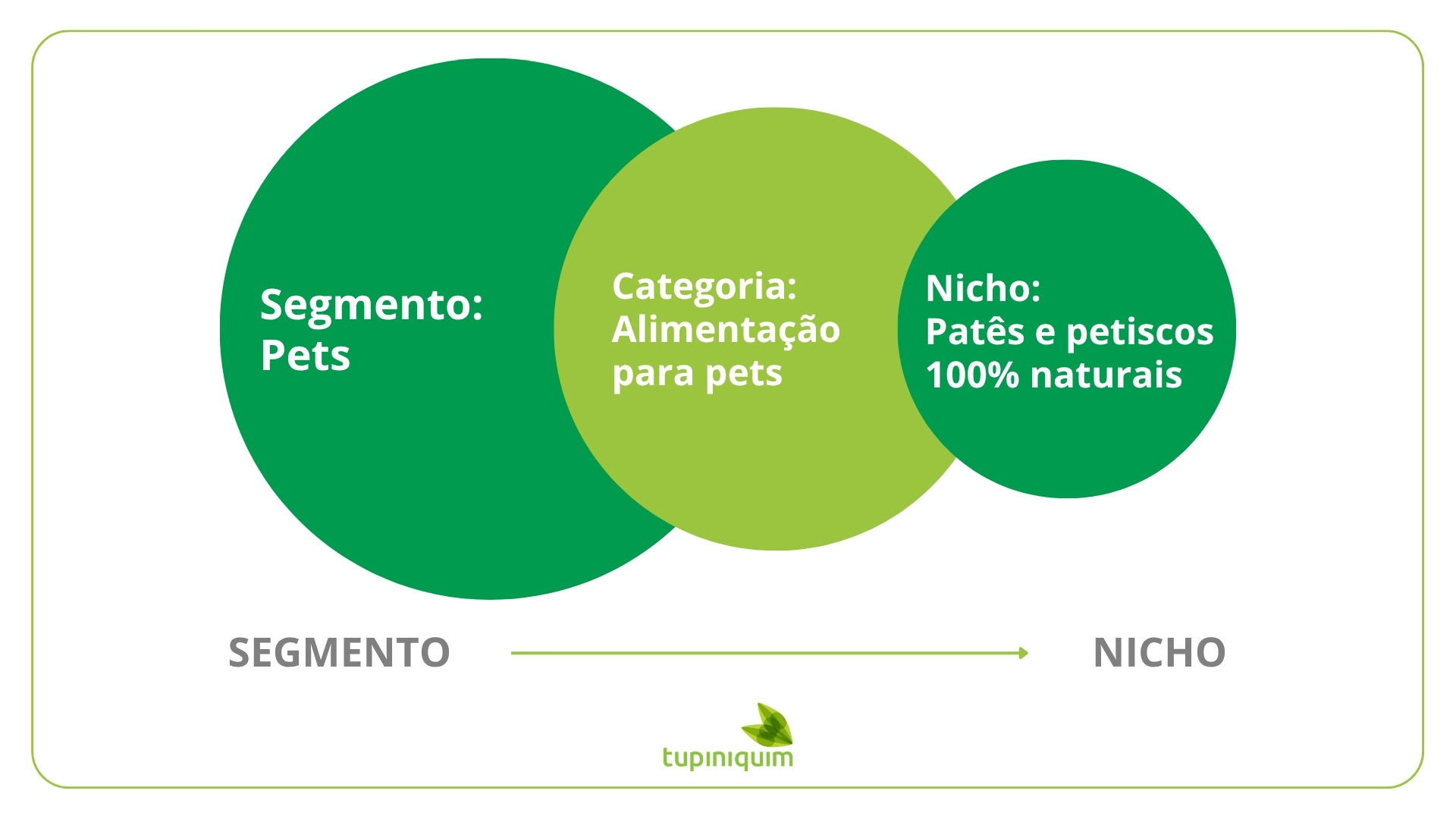 diferença entre segmento e nicho