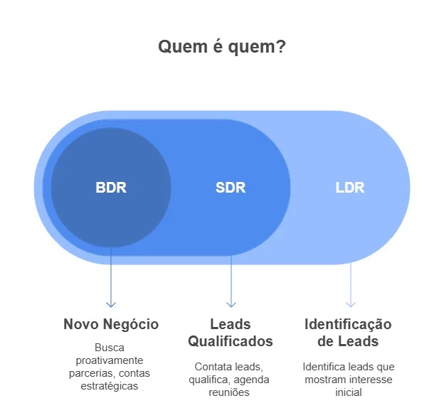 a modinha de sdr ldr e bdr uma pressao do mercado ou real necessidade de evolucao visual selection 1