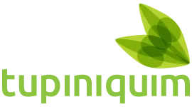 Agência Tupiniquim | Marketing Digital
